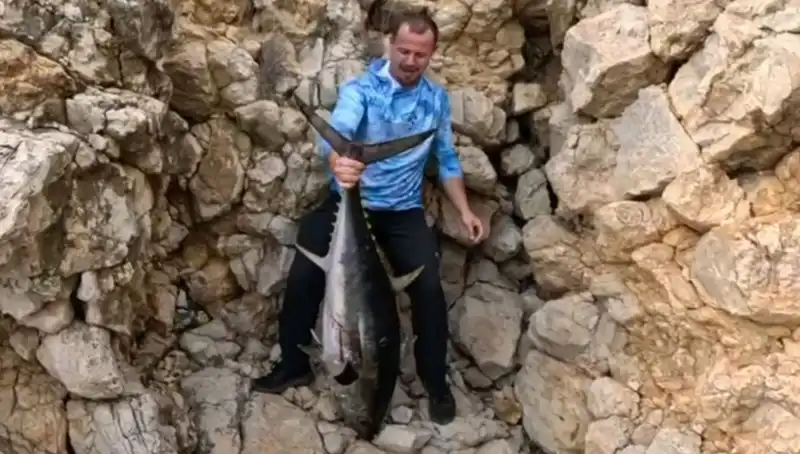 Saros’ta 30 Kiloluk Dev Balık Oltaya Takıldı, Avcılar Şaşkına Döndü!