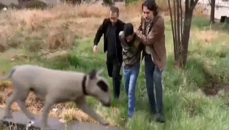 430 Bin Lira Değerindeki Şampiyon Köpeğin Hırsızı Polisi Şaşırttı!