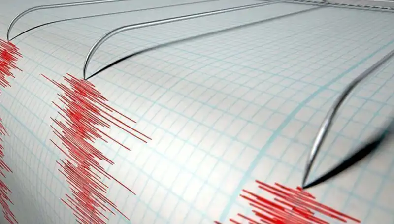 Yeni Zelanda'da Şiddetli Deprem: 6,7 Büyüklüğünde Fırtına Gibi Sallandı!