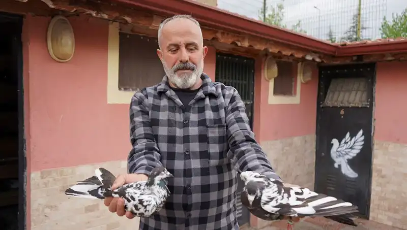 42 Yıllık Hobi Profesyonel Tesise Dönüştü: İl Dışından Gelen Yoğun Talep